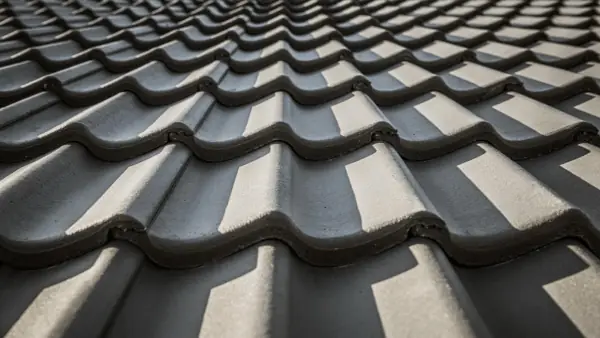 Lucrare Davroofing