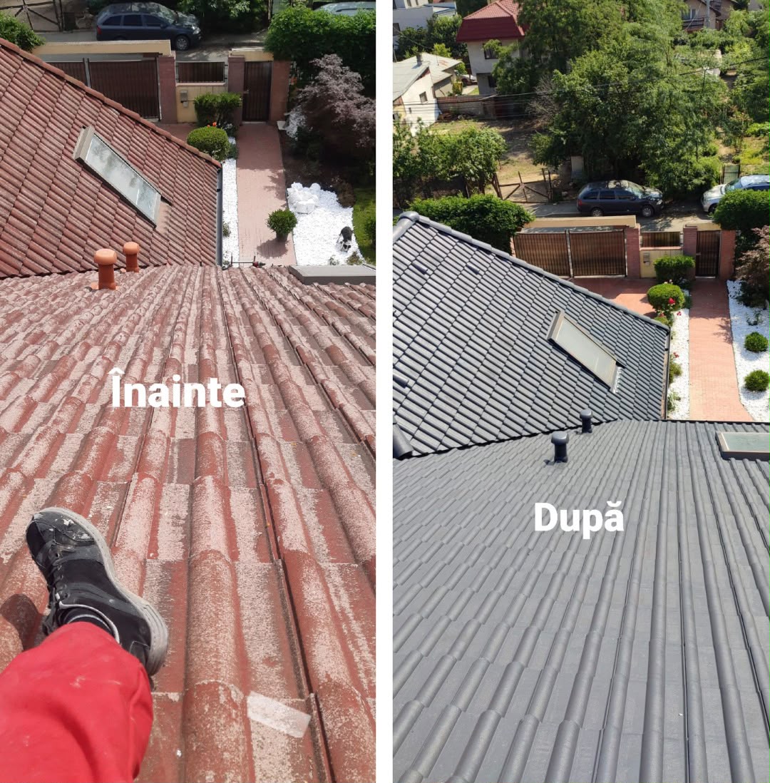 Lucrare Davroofing