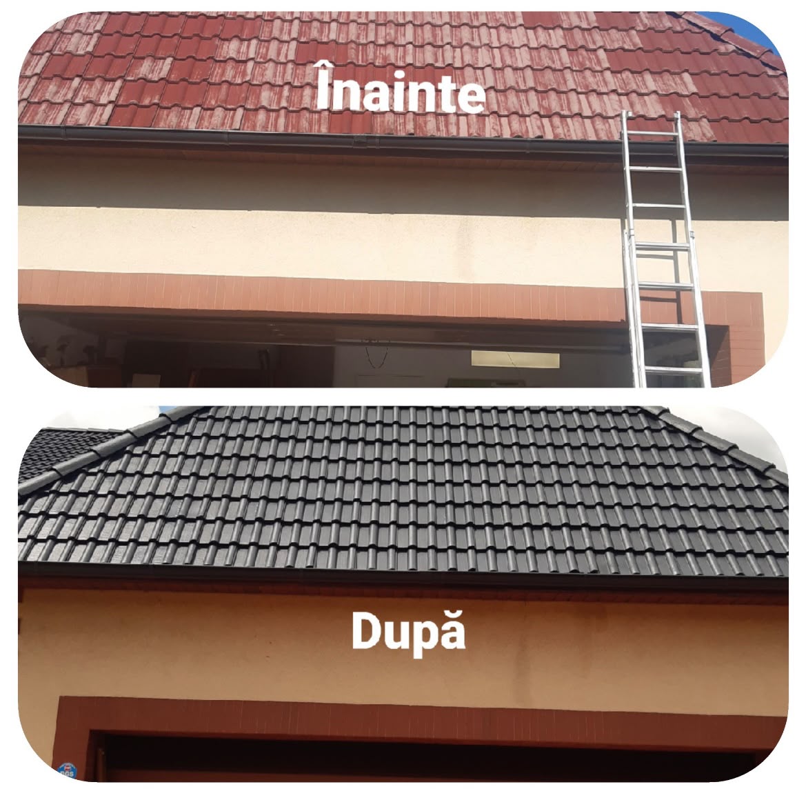Lucrare Davroofing